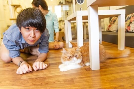 Purrfect-Cat-Cafe-penang