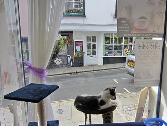 Totnes-Cats-Cafe