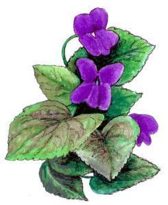 Gar Flower Web Blue Violet