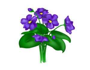 spray of beautiful dark blue violets