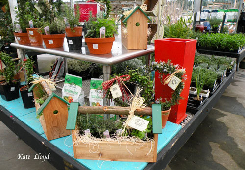 Molbacks-Birdhouses