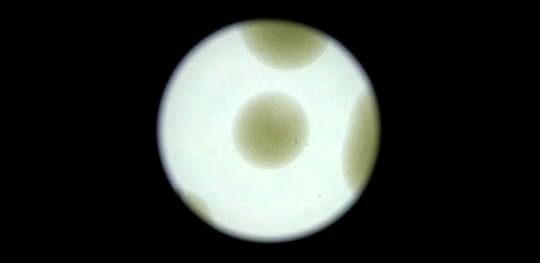 Resistance: The Movie That Will Make You Care About Antibiotic Misuse