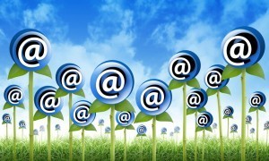 Email list growth