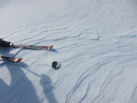 See that round thing? It's the top of a fence post