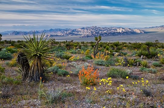 Red Rock Canyon in spring