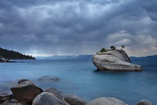 Lake Tahoe Bonsai Rock