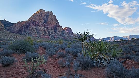 Spring Mountain Ranch vista