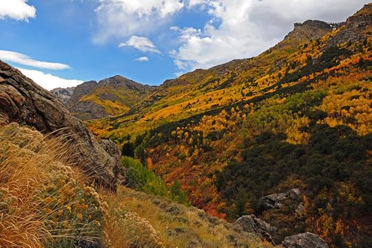Ruby Mountains foliage