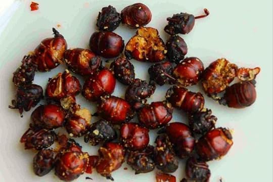 colombian_fried_ants