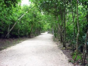 mayan_sacbe
