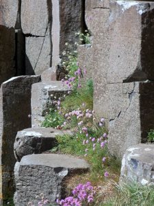 Giant's Causeway stepping stones 1
