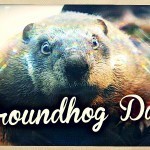 Photo credit Allessandro M.