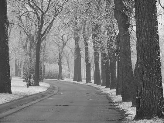 snowy_day_in_the_park_black_and_white_cvr_deviant_by_sfishffrog-d65h274