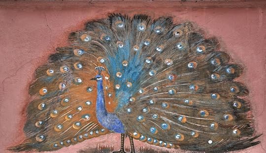 peacock