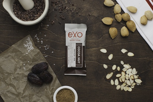 Exo_CocoaNut_HighRes