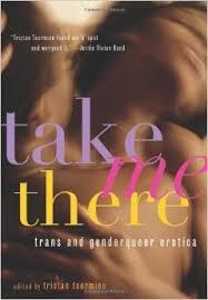 TAKE ME THERE-- Trans erotica. Click to buy.