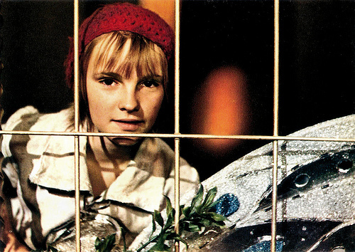 Le Petit Poucet (1972)