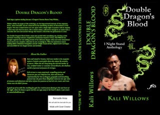 Double Dragon's Blood full cover