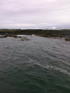 farne3