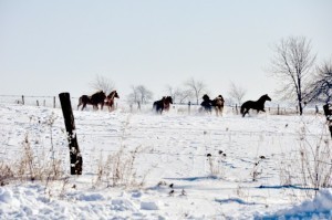 Winter-27