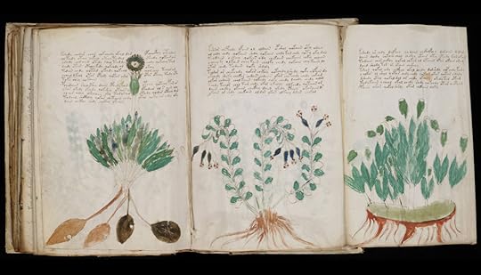 Voynich_Manuscript_(170)
