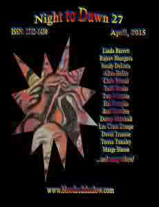 NighttoDawn27frontcoverJan10