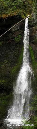 Marymere Falls Vertical Panoramic