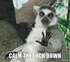  photo download 5_zps7vzvspww.jpg