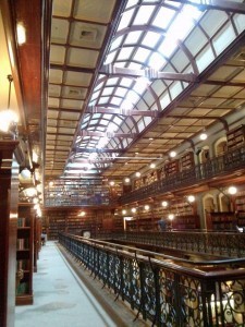 Look at all of the books, so many many books.