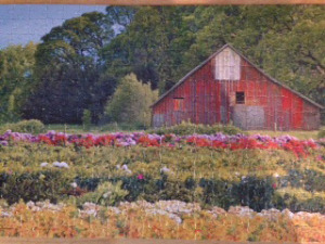 Barn scene
