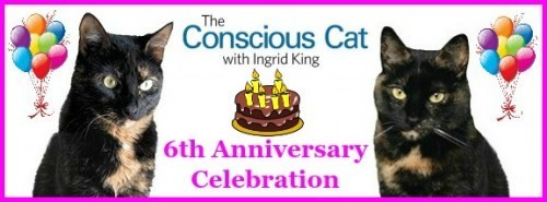 Conscious-Cat-anniversary