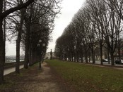 IMG_1307