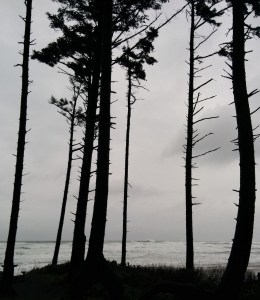 Grove Inspiration CapeLookout