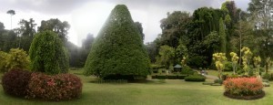 Peradenia Botanical Gardens Review - Garden
