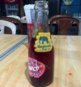 Getting to the Pidurangala Rock Temple - Elephant Drink