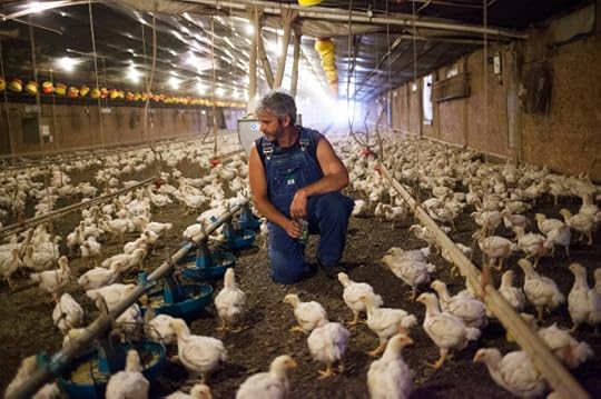 The Poultry Industry Responds to an Activist Farmer