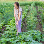 http://www.dreamstime.com/royalty-free-stock-images-girl-working-garden-young-weeding-hoe-image42866229