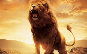 aslan roar