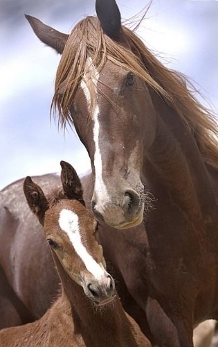  photo 6c21ffe4-9755-4544-9550-2daed1a3affb_zps018ggifm.jpg