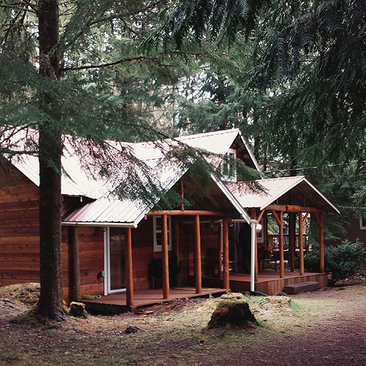 Cabin in the woods