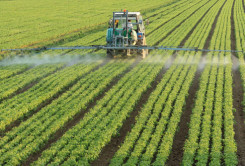pesticide-ADHD