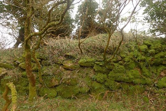 The spirit of this place is soft as the moss,