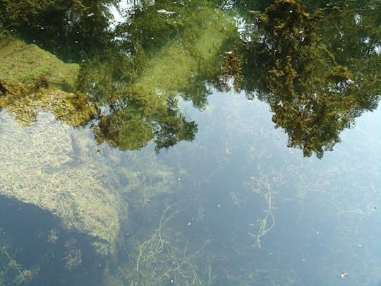 underwater mysteries photo GEDC1240_zps6xm0x6jd.jpg