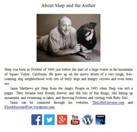 social media icons for authors