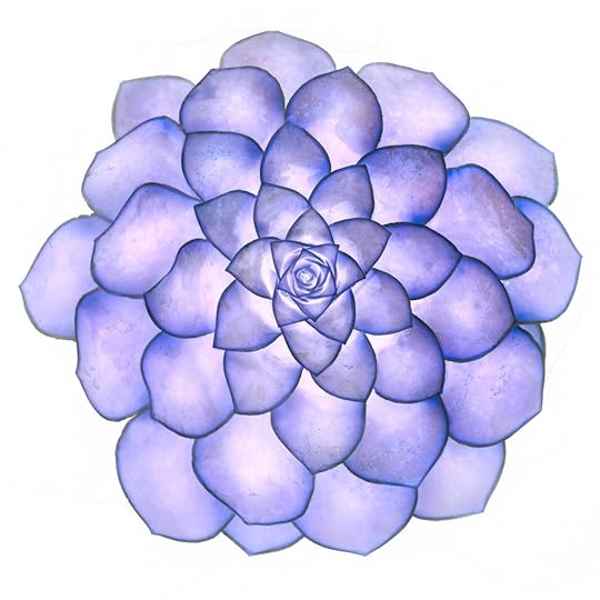 Succulent-LAB-All Channel inversion © Harold Davis