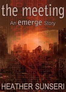 the meeting cover 225x310