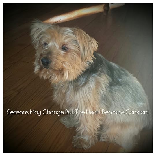 Moldiv_1425267311795