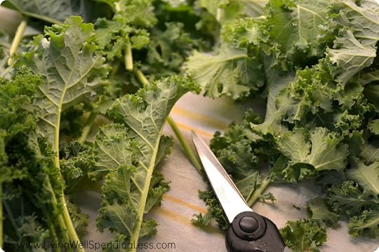 Kale & White Bean Soup 11