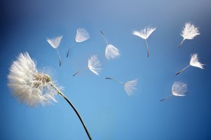 Why I Love Book Giveaways (especially Goodreads) post image