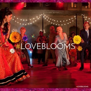 love blooms
